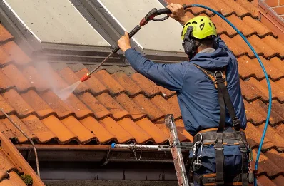 Démoussage et hydrofuge de toiture à Rogliano